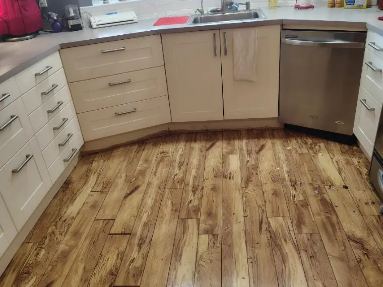 Kitchen sink, counters and cabinet fronts wiped down